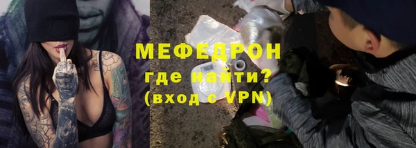 индика Надым
