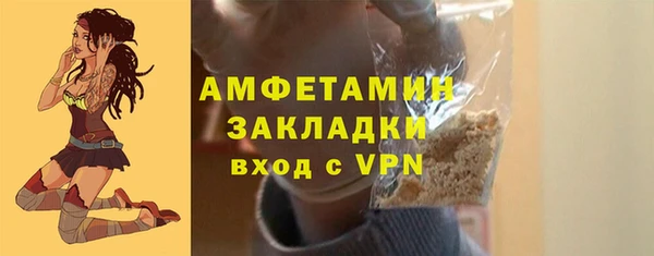 ПСИЛОЦИБИНОВЫЕ ГРИБЫ Вязники