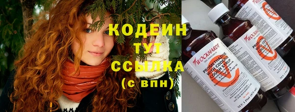 ПСИЛОЦИБИНОВЫЕ ГРИБЫ Вязники