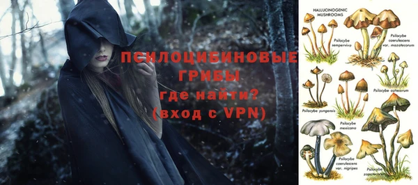 ПСИЛОЦИБИНОВЫЕ ГРИБЫ Вязники