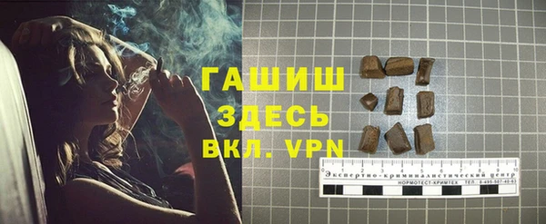 ПСИЛОЦИБИНОВЫЕ ГРИБЫ Вязники