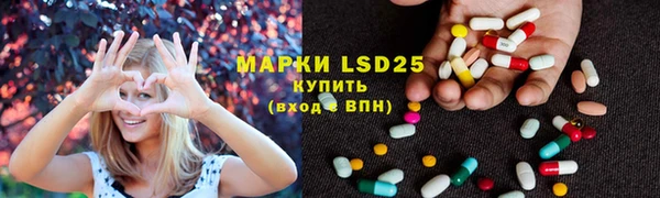 ПСИЛОЦИБИНОВЫЕ ГРИБЫ Вязники