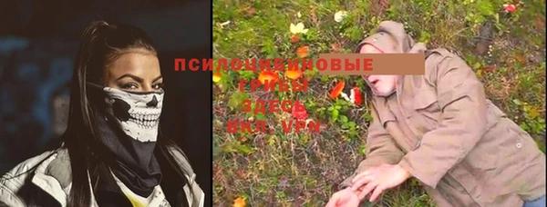 индика Надым